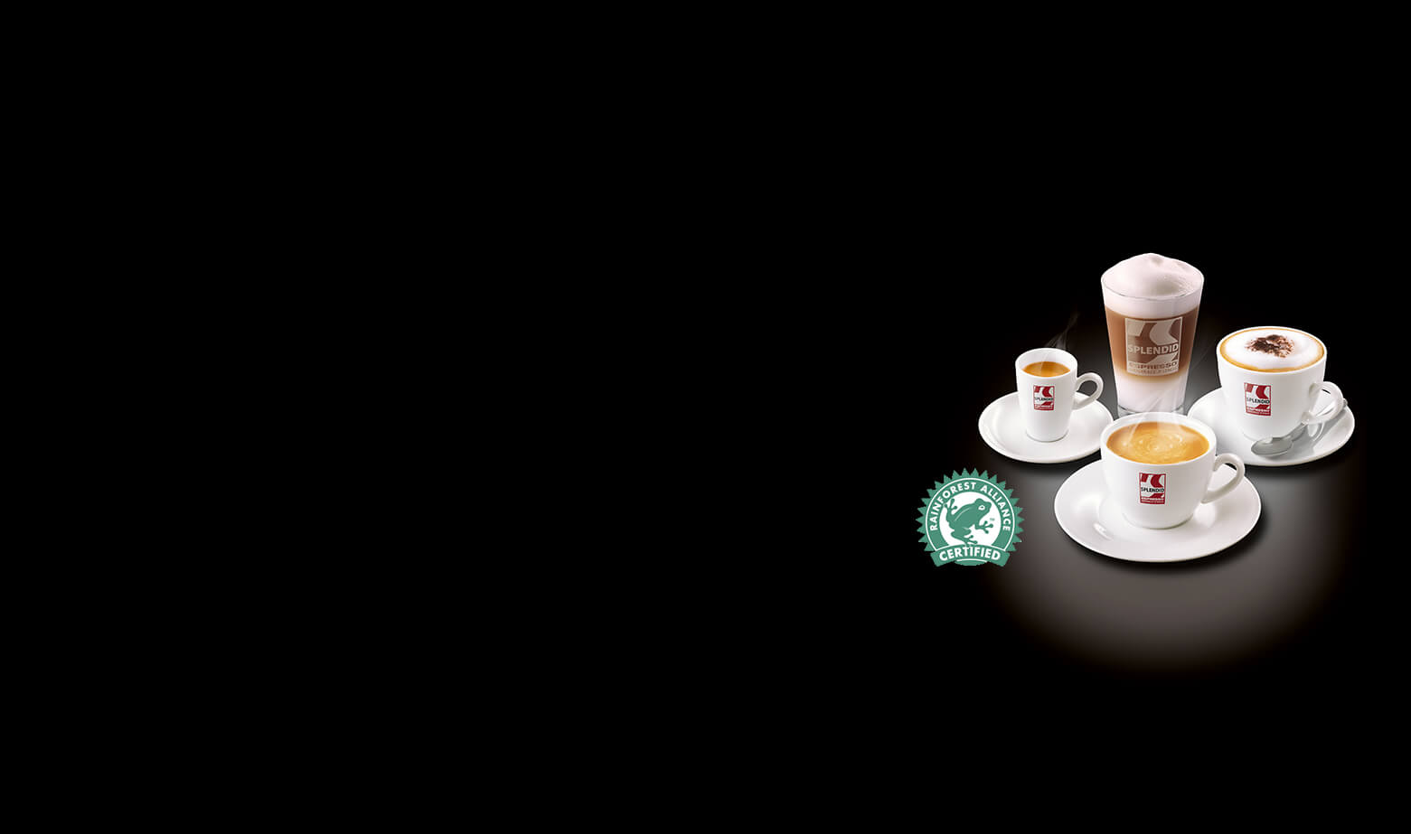 AT-BRAND-splendid-4CUPSRIGHT